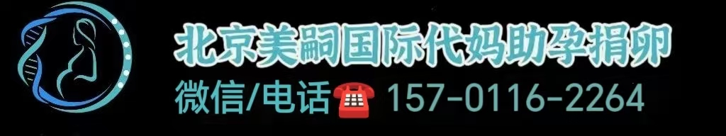 同性恋助孕